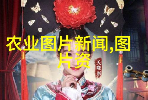 人工养殖马蜂窝技术我来教你怎么种马蜂窝让它们帮忙做活力产品