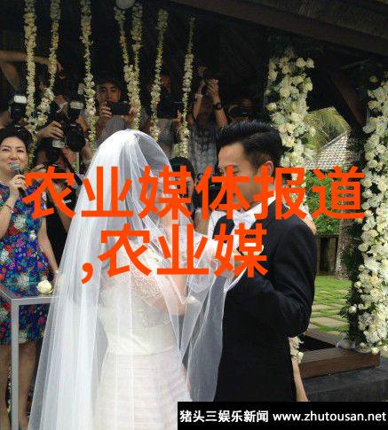 温室大棚育苗技术革新精准养护提高种植效率