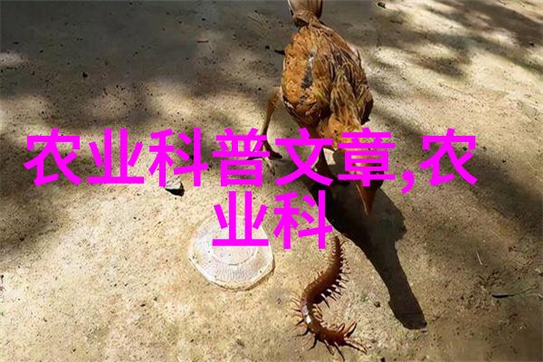 秋色画卷10年枫树一棵的价值与故事