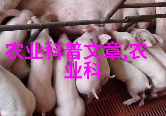 猪牛羊养殖成本利润对比 - 畜牧业投资指南剖析猪牛羊养殖的成本与收益差异