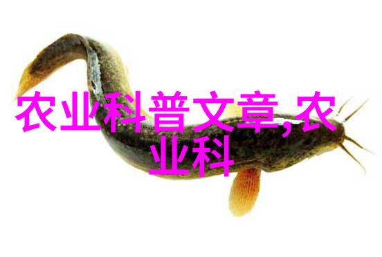 土豆的飞机揭秘中国最先进履带旋耕机的神奇之旅