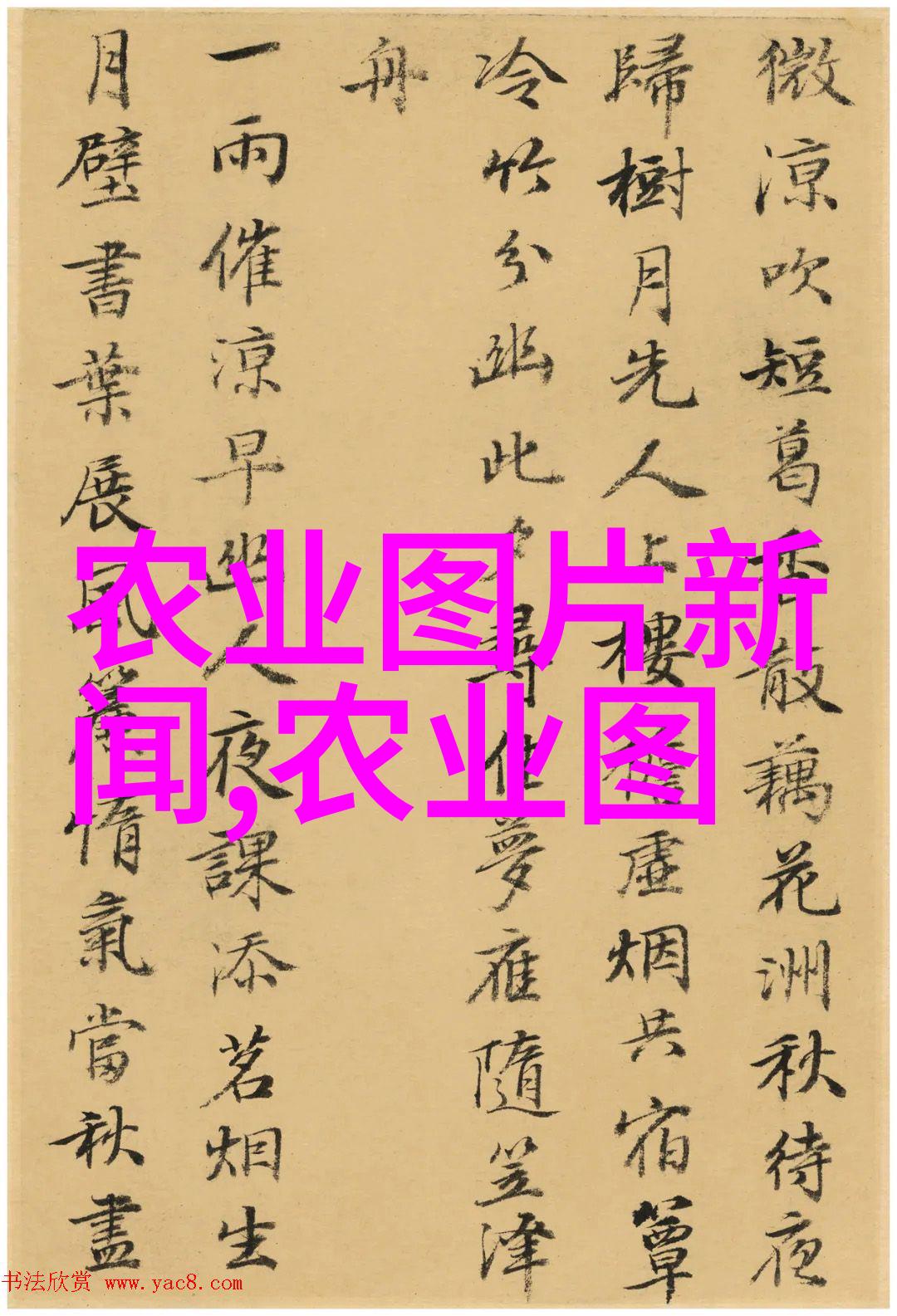 优化山西省外来病害防治措施保障农作物质量安全