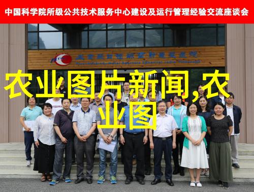 绿意盎然最新蔬菜资讯与营养学研究