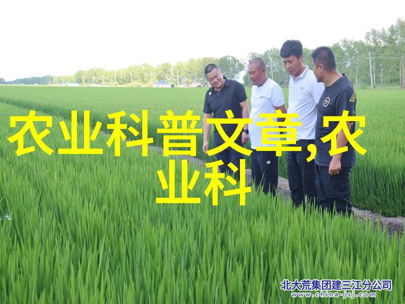 翘首期盼连翘种植的未来之光