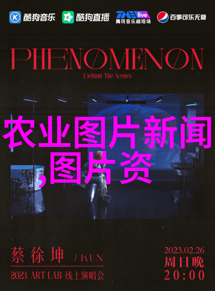 文竹的养殖方法和注意事项我是如何把文竹从幼苗到繁荣的