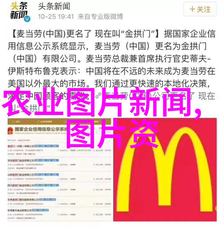 精选苗木报价单绿意盎然的园艺选择与价格明细