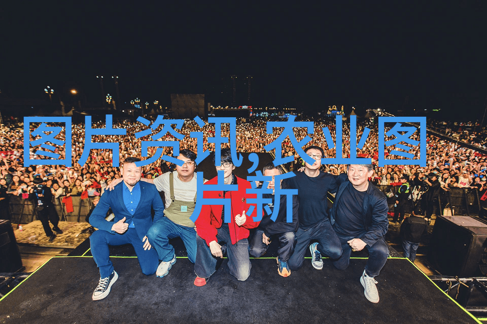 如何通过学习中级社会工作法规来提升专业技能