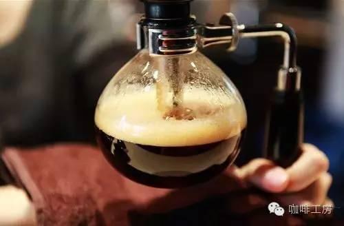 园林绿化的艺术33种树木的魅力