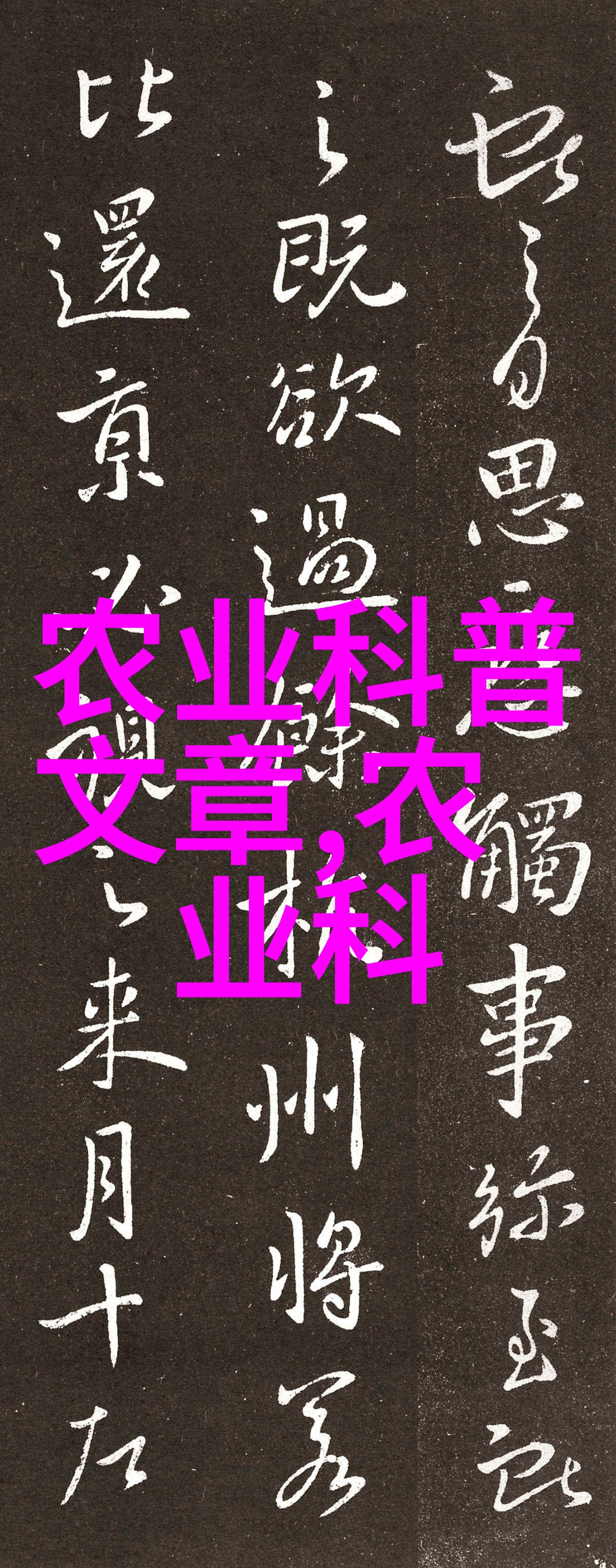 江西红枫的药用价值与种植秘诀