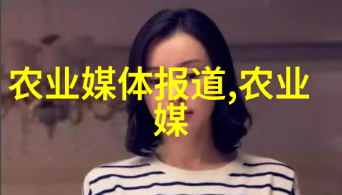水利智慧如何通过精准灌溉提高农业产量
