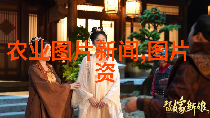 民法典内容解析契约权利财产关系与继承制度