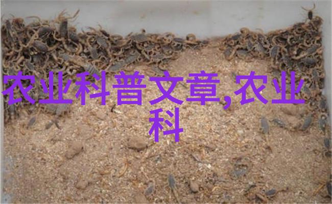 绝壁之冠天际的翘楚