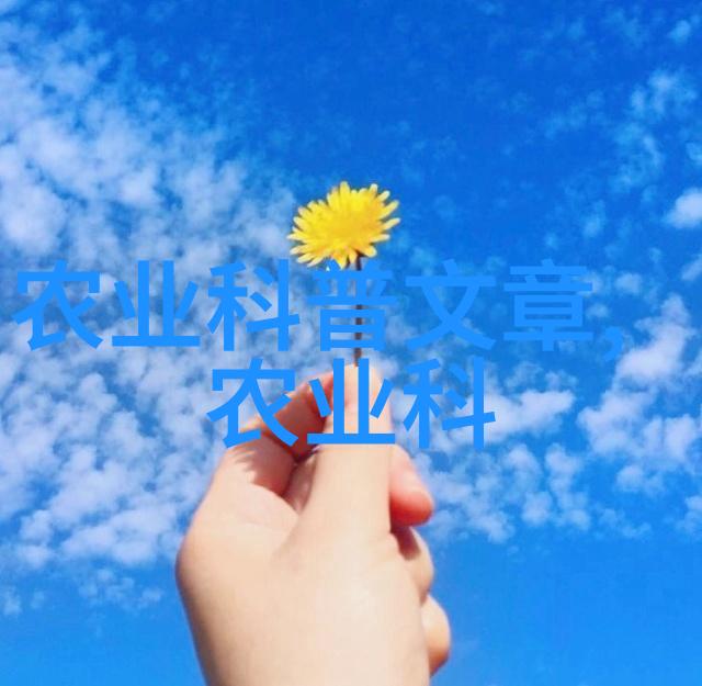 花卉种植艺术精美花卉种植教学手册