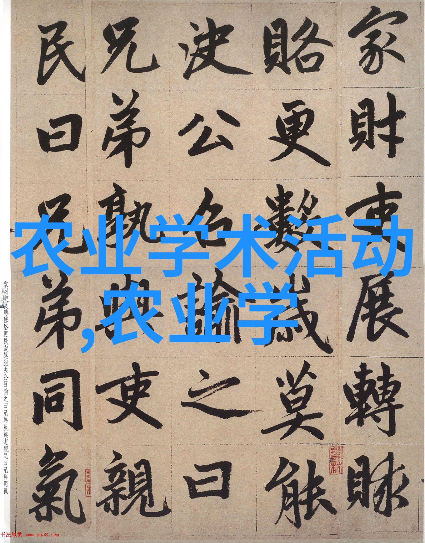 混蛋肚子里的孩子一个揭露家庭秘密的故事