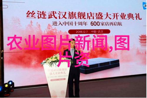 红叶盛宴10公分五角枫的价格神秘篇