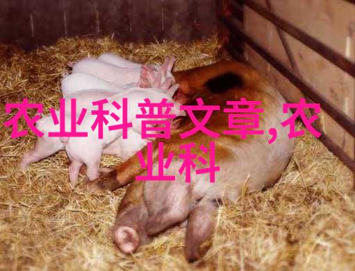 如何保持板蓝根所需的土壤湿度和水分平衡