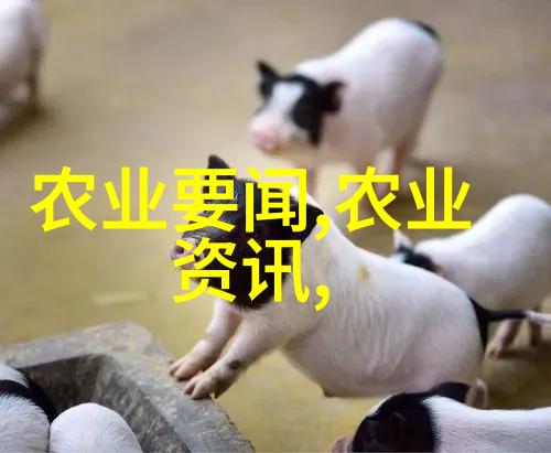 安徽蔬菜王国绿茵海的生长秘密