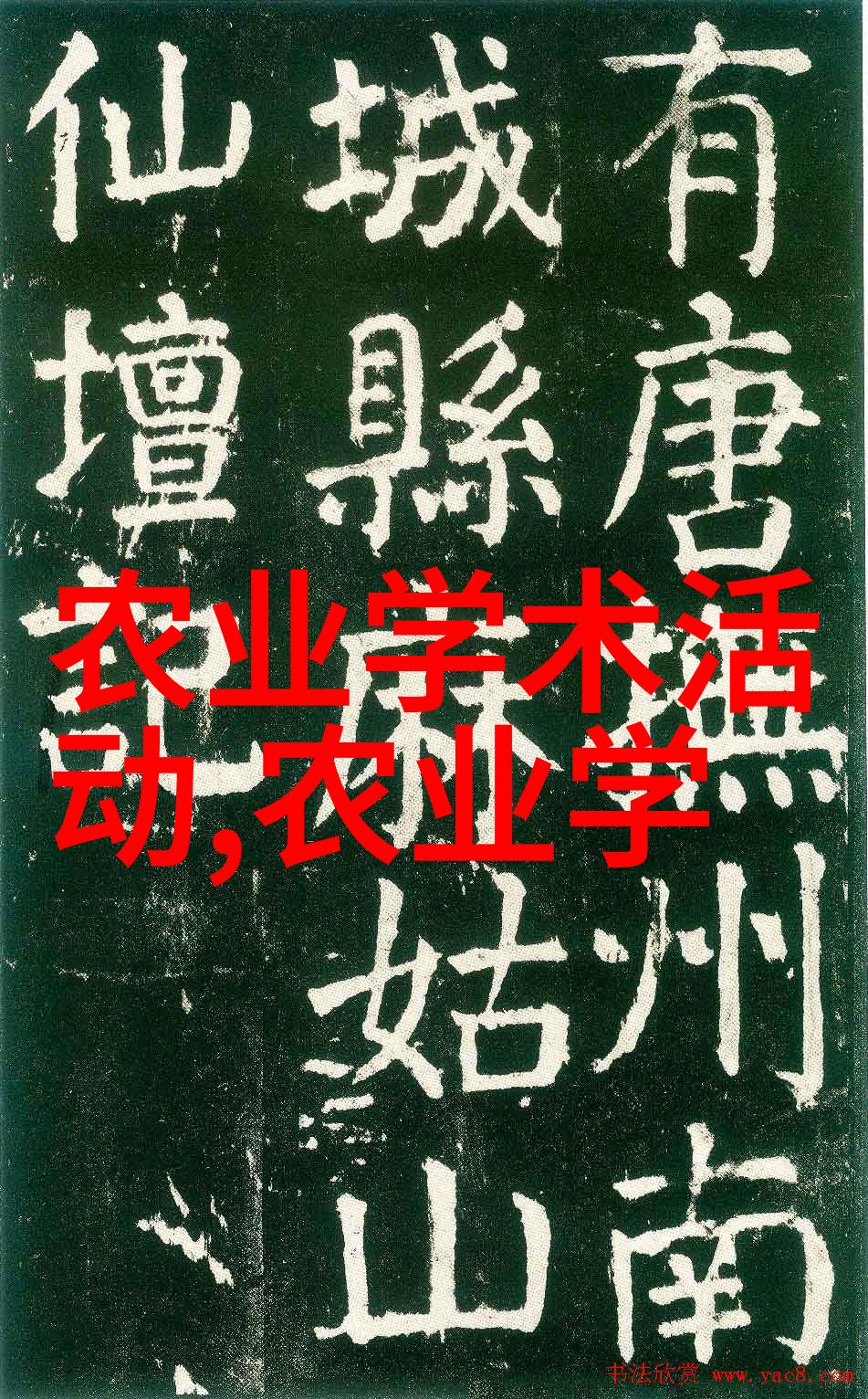 深夜的药材园中隐藏着怎样的秘密赚钱之道