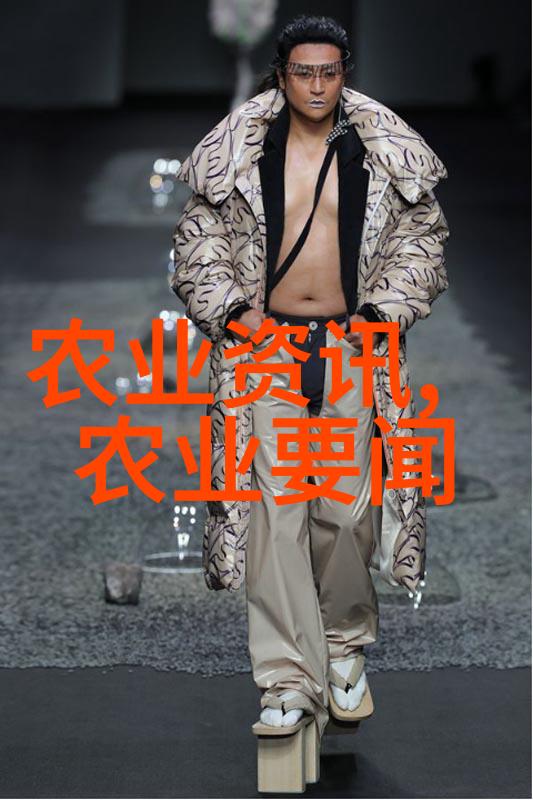 室内大型绿植养护指南最佳选择揭秘