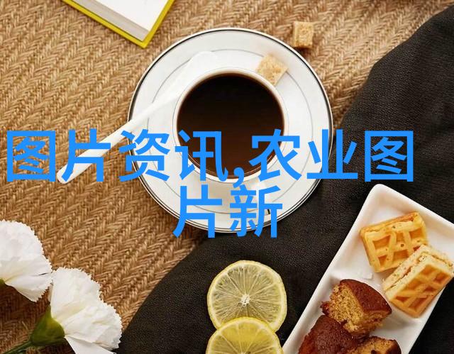 主题我要找投资人来支持我的农业项目了