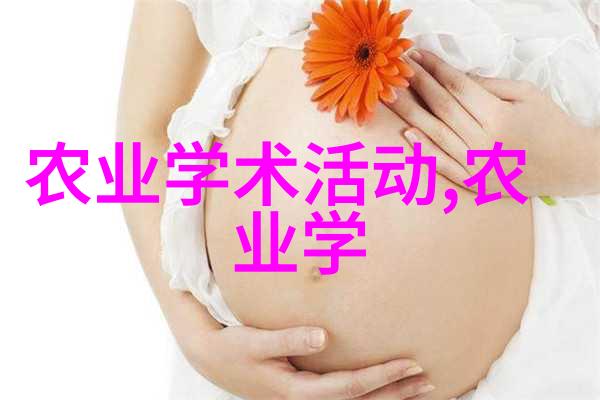丰收盛宴300斤猪肉的秘制烹饪指南