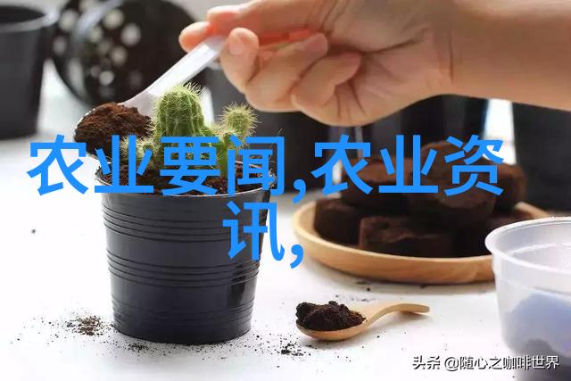 蔬菜种植交流平台我是蔬菜大侠你想知道的都在这里