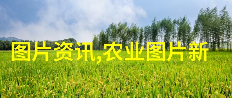 农业的由来我们是如何从野食者变成农夫的