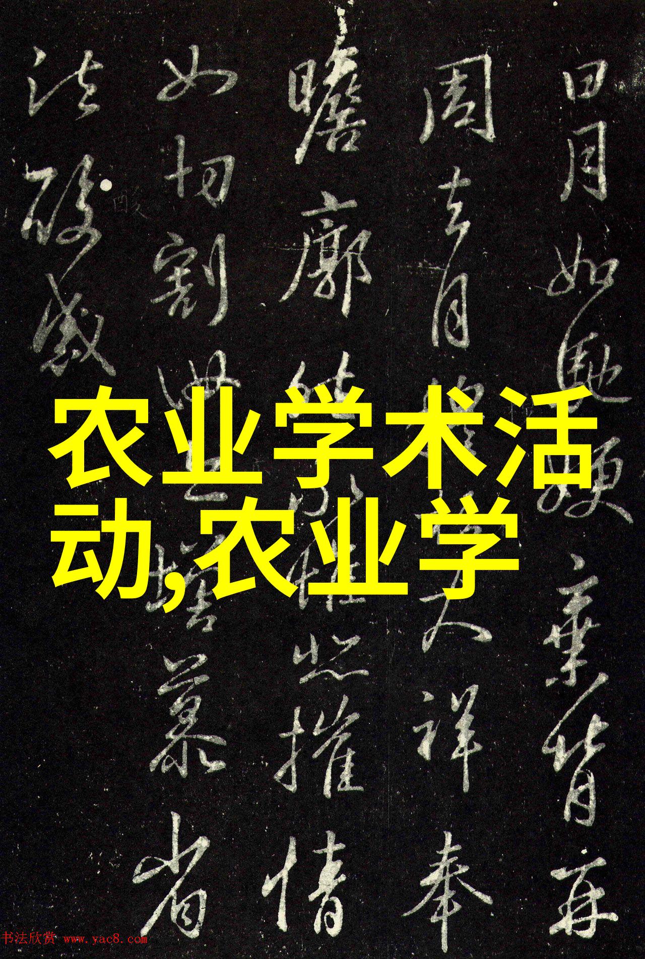 绿茶抗氧化深度解析绿茶中的抗氧化素及其健康益处