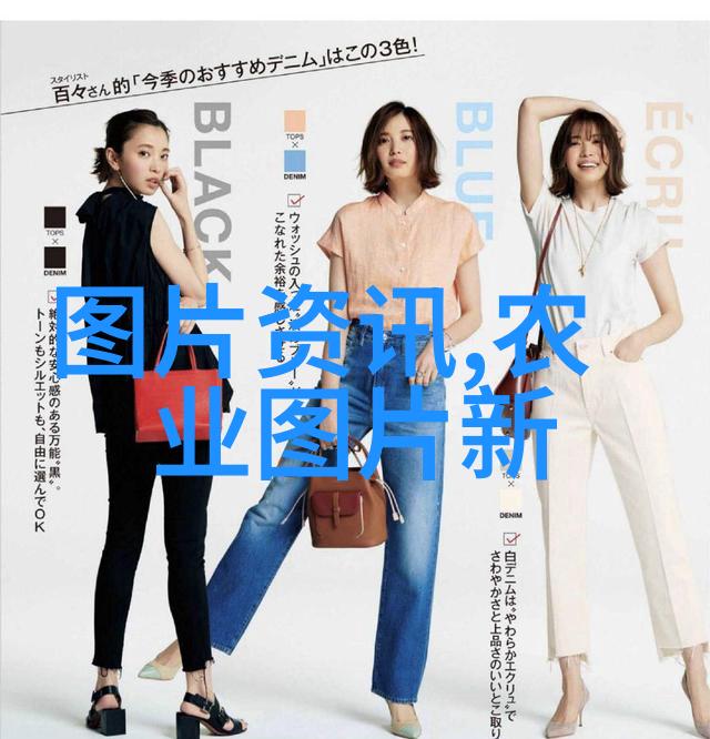 绿意盎然的选择甘蓝菜的诱人魅力