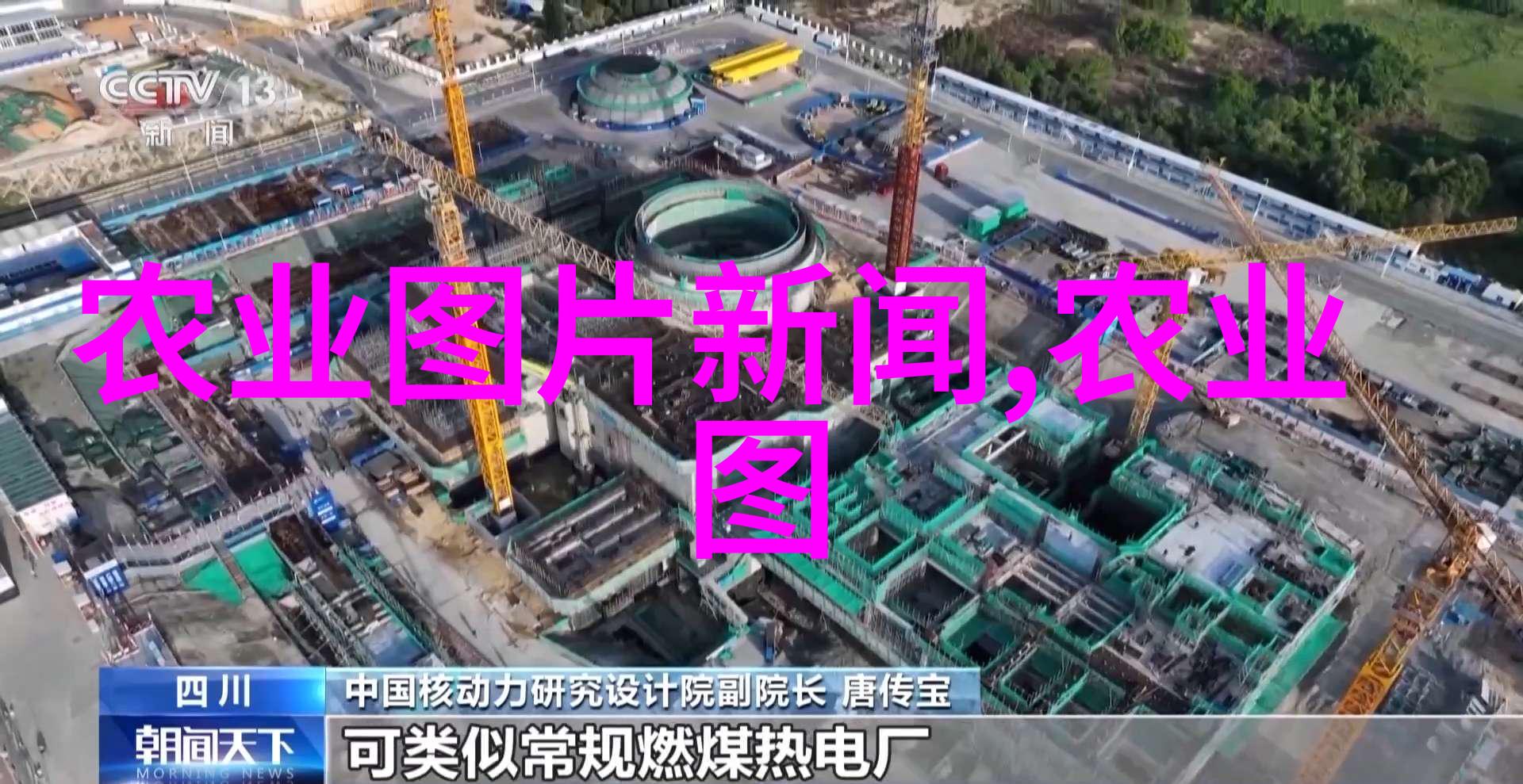 翡翠般的贵重石斛市场的金钱语言