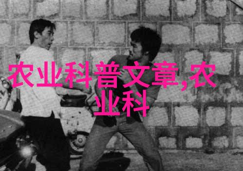 春天的花海广玉兰的香甜与价格之谜
