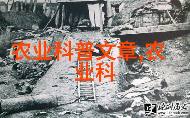非强迫宠爱-温柔的抚慰探索非强迫式与宠物共生