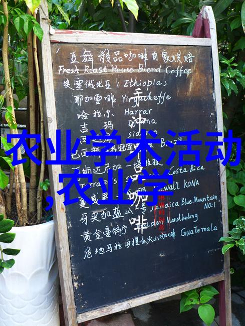 养蜂技术视频全过程-从  到蜂蜜详解养蜂全程