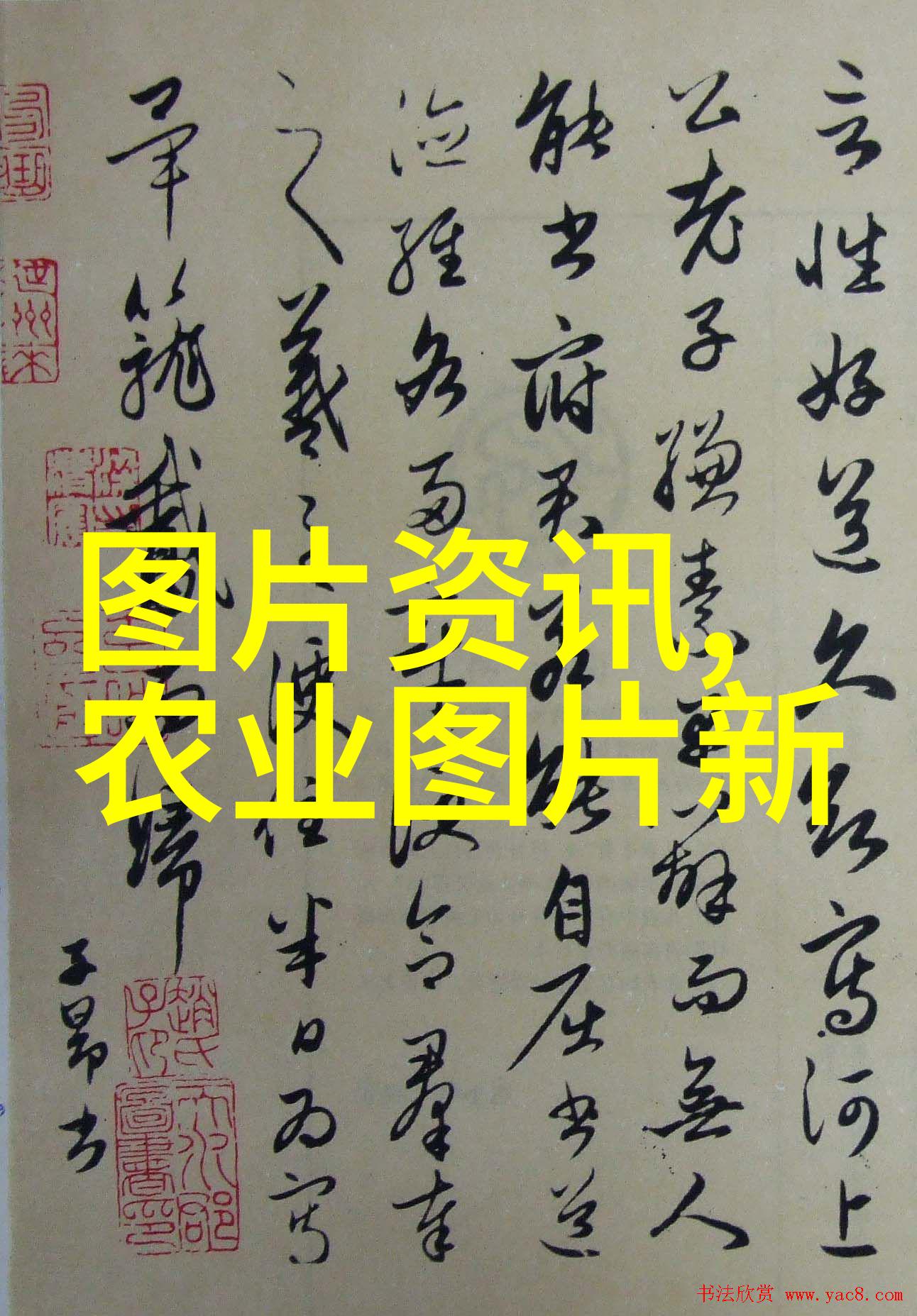 大棚里冬天种什么蔬菜我这里就跟你说说我的经验吧叫做暖心的冬日蔬菜大棚里的秘密花园怎么样