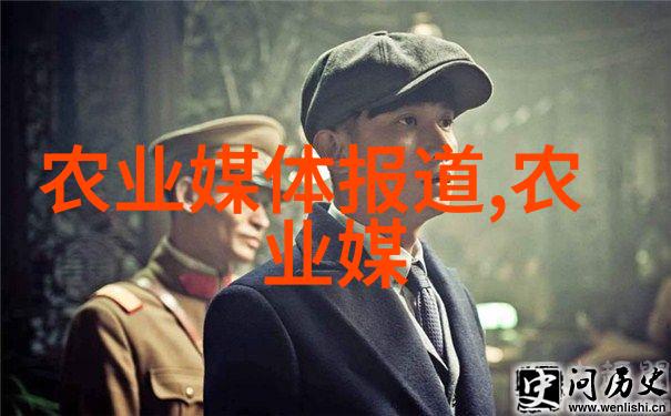 茶的双刃剑揭秘长期饮用所引发的健康隐患