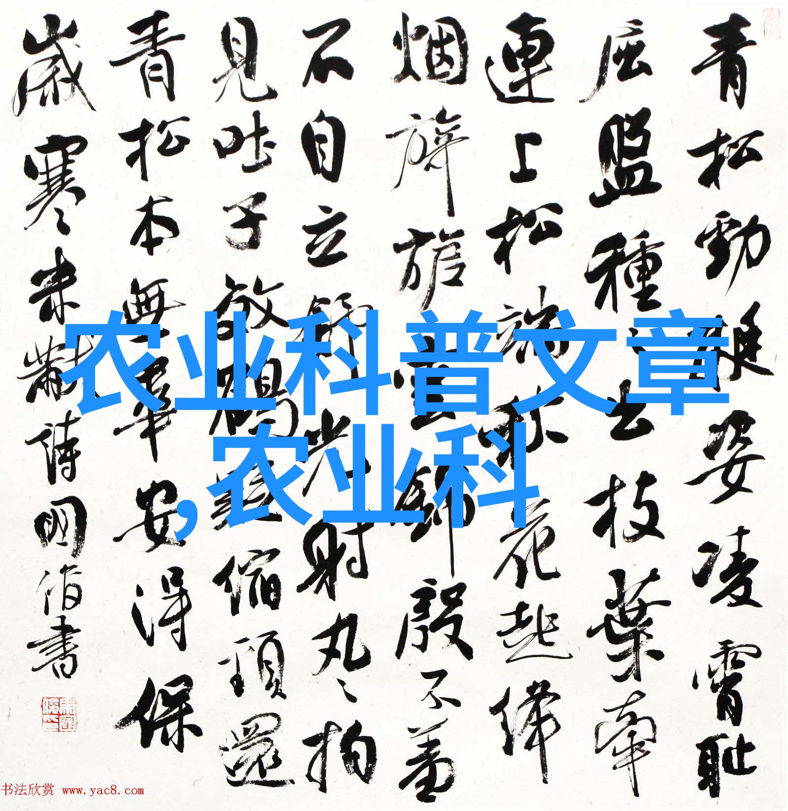青青花木绚烂色彩下的古典韵味
