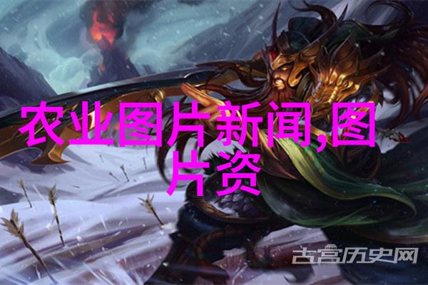 中国金融行业分析报告我来告诉你这份报告让人心跳加速