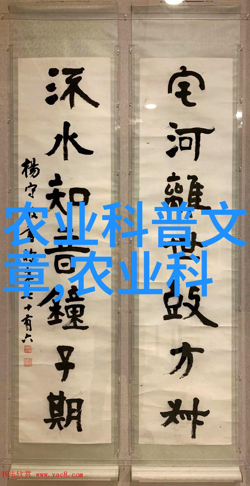 揭秘茶香茶叶中的多种营养成分与药用价值