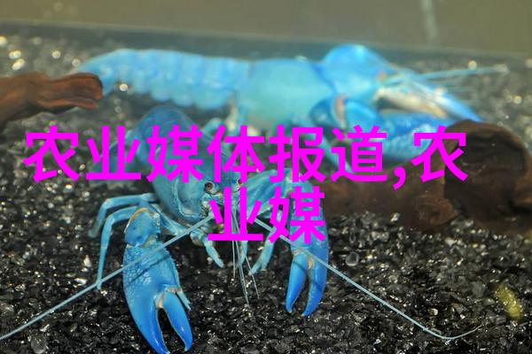 茶文化-品鉴茶道剖析茶叶的几大类别
