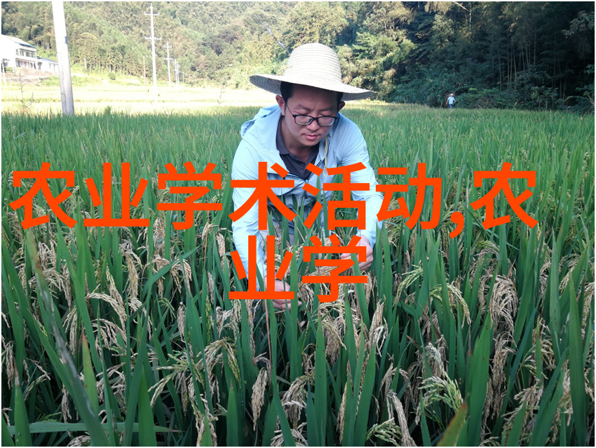 庭院花卉选择秘笈引领家宅旺盛福祉