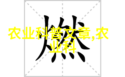 金黄色粮食之旅玉米棒的自动化传送神奇机器