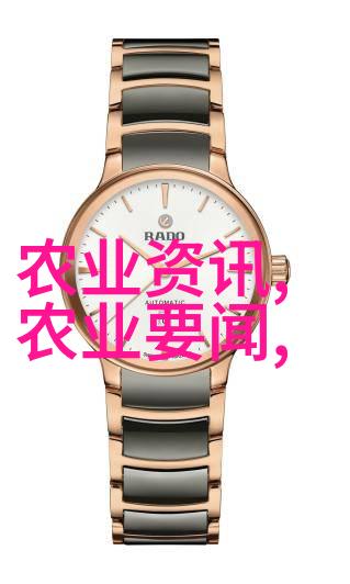 从砖瓦到霓虹建筑工的技术奇迹