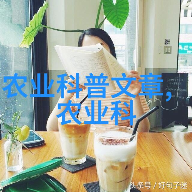 中国茶的介绍品一壶让你感受那份悠然自得