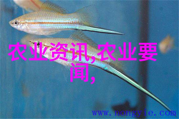 农业培训课程-种植技巧与现代农业管理提升农民技能的农业培训课程