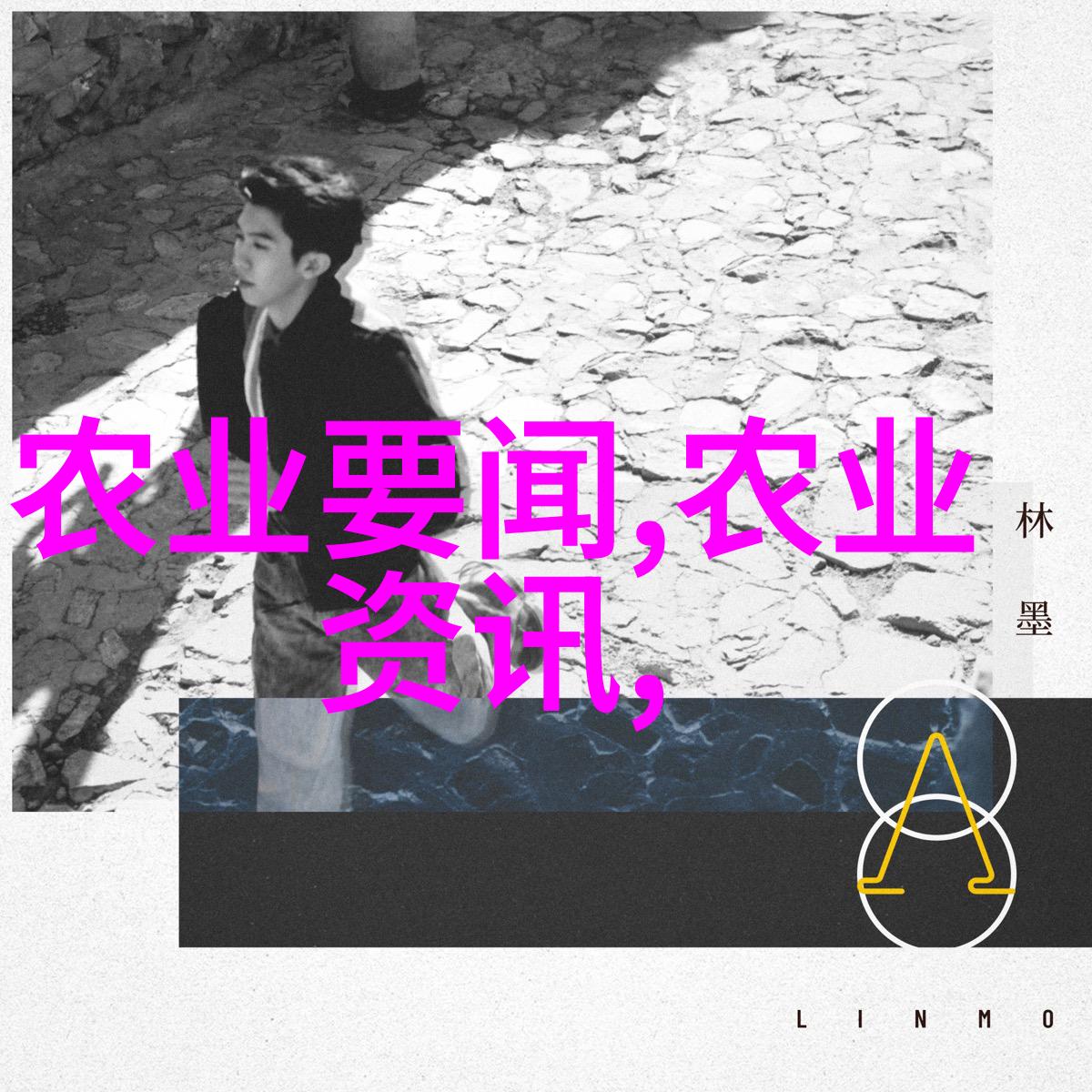 品味名种揭秘优质茶叶的健康功效与生活作用