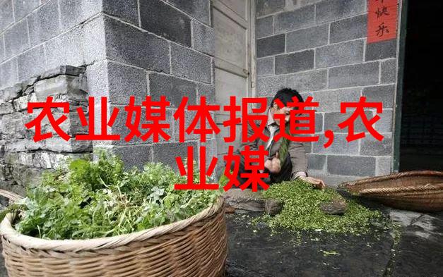 水果资讯亲自去超市探险揭秘那些看似普通的水果其实很有趣