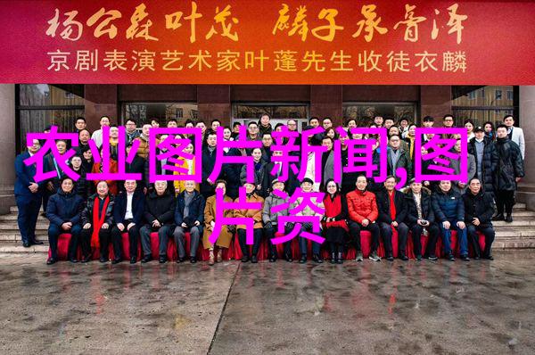 山东花海盛宴十大批发基地绽放春色