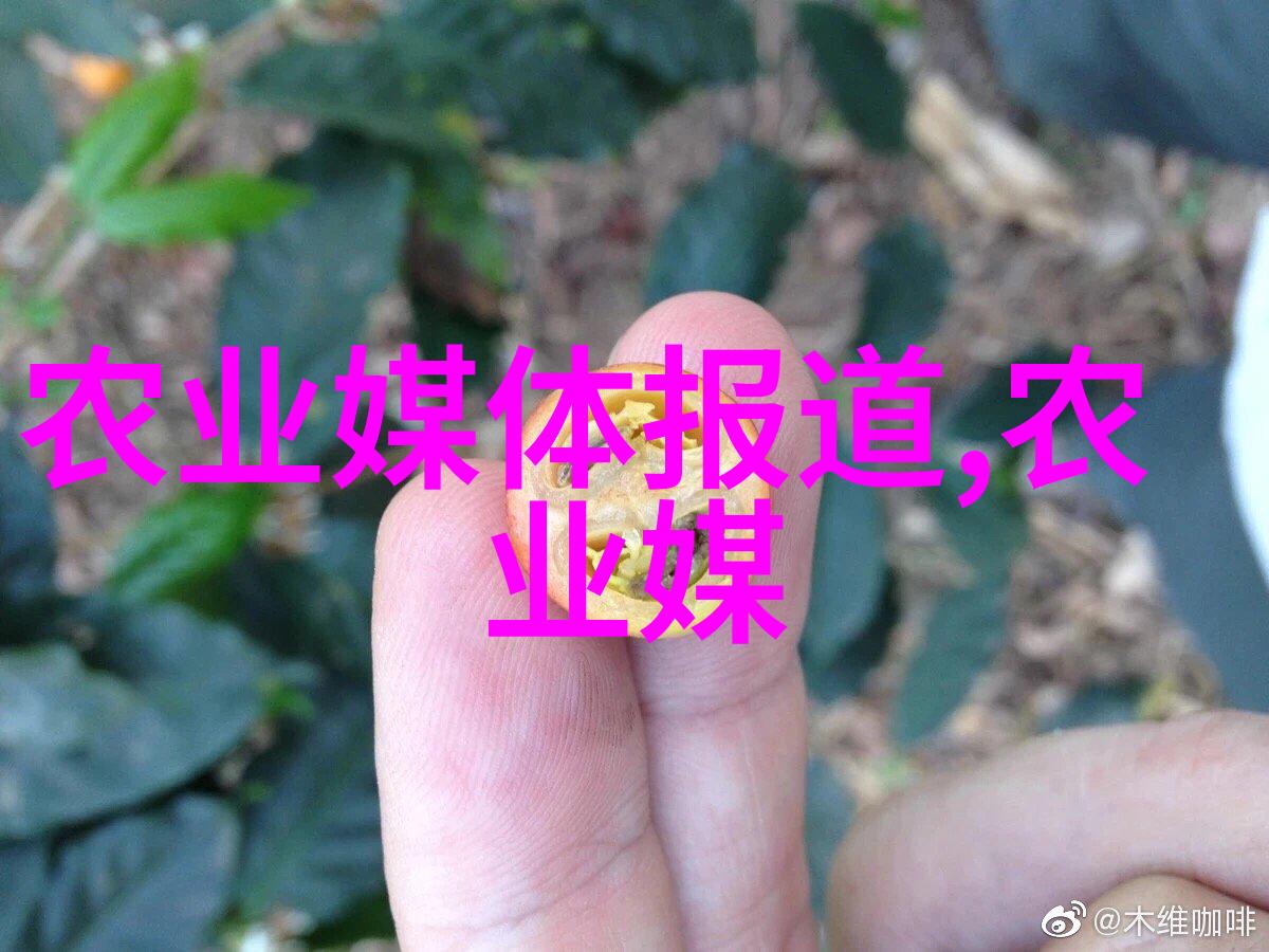 天麻是头晕神药 这两类人千万别吃 气滞血瘀或气血两虚所致的头晕服用天麻效果不佳