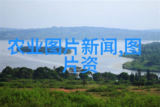 农村种植养殖业有什么项目我来告诉你几个赚钱又实用的好项目