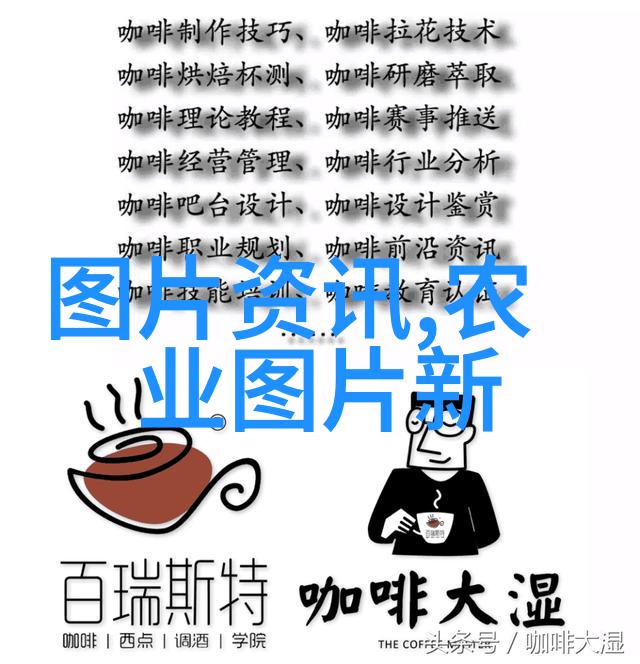 十字花科蔬菜的魅力从菠菜到西兰花探索健康与美味